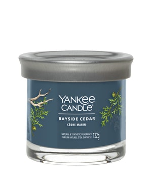 Yankee Candle Bayside Cedar Signature Tumbler Duftkerze