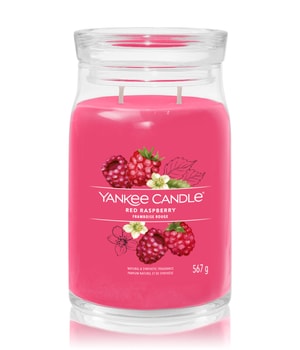 Yankee Candle Red Raspberry Duftkerze