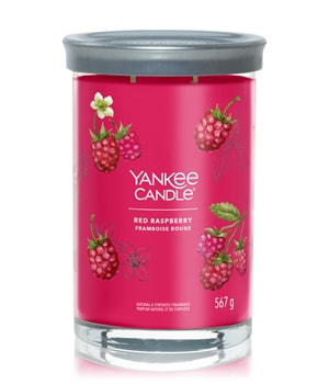 Yankee Candle Red Raspberry Signature Large Tumbler Duftkerze
