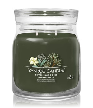 Yankee Candle Siver Sage & Pine Signature Jar Duftkerze